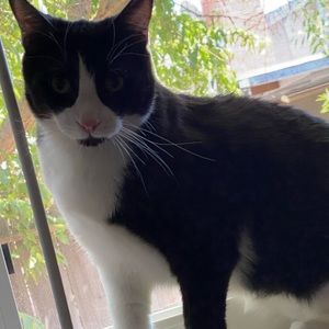 Meet your Posher, Nikki